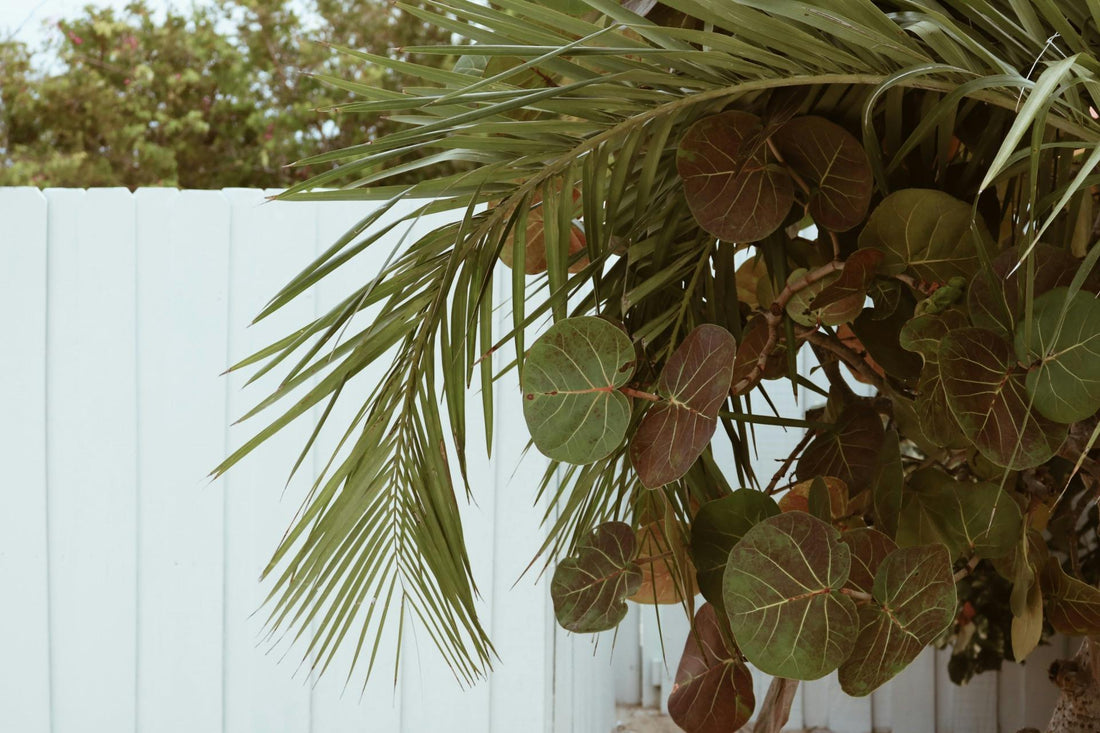 Our Commitment to Sustainability and Wellness